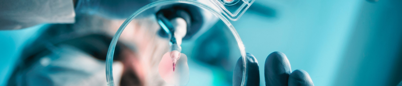 螢幕擷取畫面 2025-01-21 143633